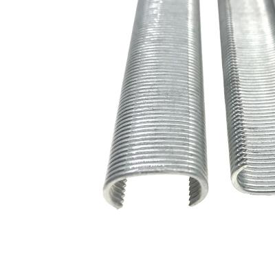 China Galvanized Mattress Staples C Ring Staples Flat Tive Nail Silver Standard for sale