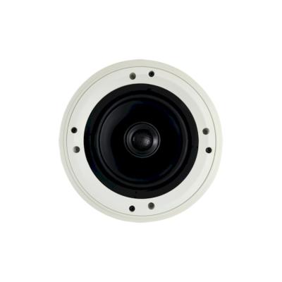 China Mini System Factory Supply Direct Coaxial Constant Resistance Horn Ceiling High Fidelity Speaker for sale