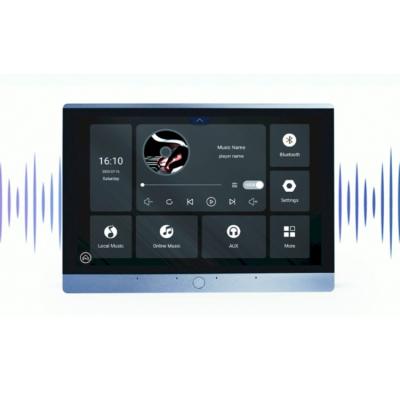 China High Quality 10 Inch IPS Touch Screen Blue Tooth Internet In Wall Amplifier 175*110*60MM for sale