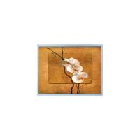 China 240*64 5,2 inch F-51851GNFQJ-LY-ADN 85Hz LCD-display Panel Module Te koop