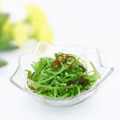 China FROZEN healthy delicious and green seasoned wakame seaweed salad for sale