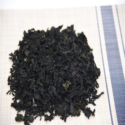 China China Supplier FROZEN Kosher Dried Fresh Kuki Seaweed Wakame for sale