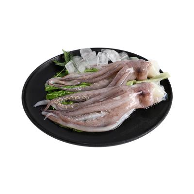 China Factroy Nutritious Wholesale Prices Hot Sale Fresh Frozen Seafood 340g Giant Squid Tentacle for sale