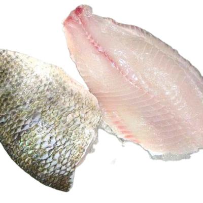 China Vitamin Frozen Boneless Skin on Tilapia Fillet Maker for sale