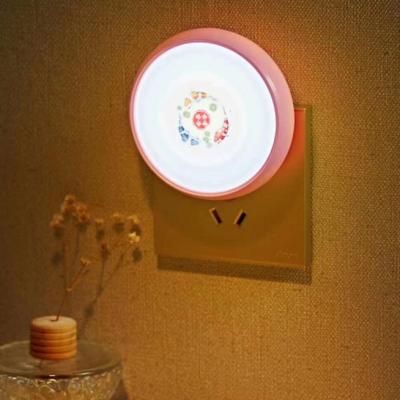 China Farm Socket Lighting Bedroom Mini Creative Energy Saving Plug-in Multi-shape Led Small Night Light for sale