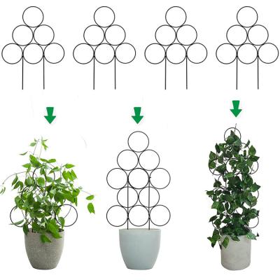 China Frame Stake Support High Performance Promotional Lastic Coated Steel Metal Potted Climbing Plant Support for Indoor for sale