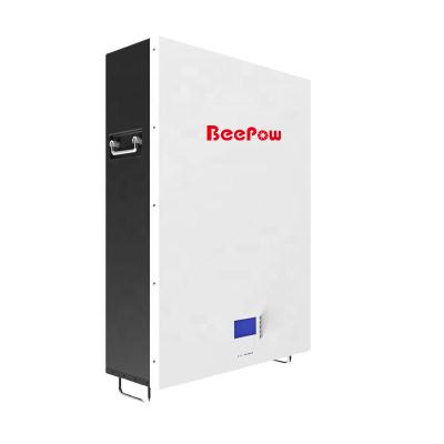 China BeePow 48V 100Ah Solar Battery 48V 51.2V 100Ah 150Ah 200Ah Household Energy Storage Wall Mounted Lithium Battery for sale