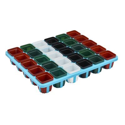 China Flower Match FD70 Succulents Plants Frame Pots Pallet Tray / Green Plant TD30 for sale