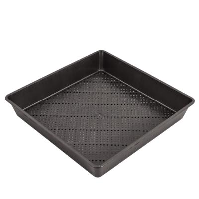 China Professional Manufacturer of Plastic Growing Tray Plastic For Plant from FZ430B for sale