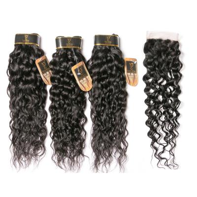 China Brazilian Water Wave Hair Water Wave Bundles With Closure Hair Weaves 3 Bundles With Lace Closure for sale