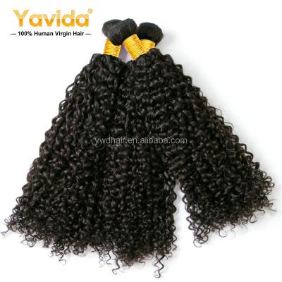 China Kinky Curl Sell Brazilian Hair Bundles, Brazilian Natural Color Kinky Curly Hair, Hair Extensions Double Drawn Weft for sale