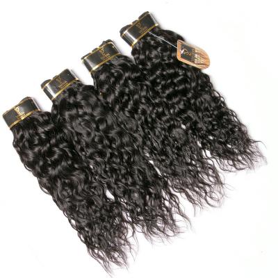 China Water Wave Wholesale 10A Grade Brazilian Hair Water Wave 4 Bundles Wet And Wavy Bundles for sale