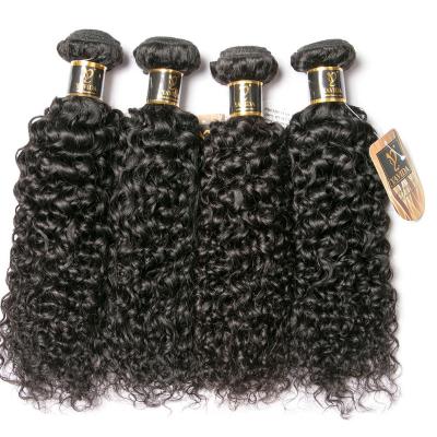 China Wholesale Kinky Curly Brazilian Hair Bundles For Women Color Hair Bundles for sale