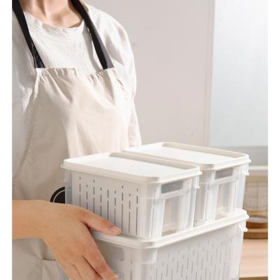 China Multi-Function Plastic Large Refrigerator Storage Freshness Storage Drain Fresh-keeping Box for sale