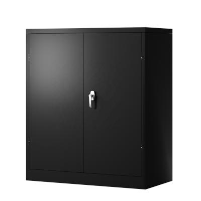 China Low Steel Storage Two Door Metal KD Cold Rolled Steel Filing Cabinet With Shelves for sale