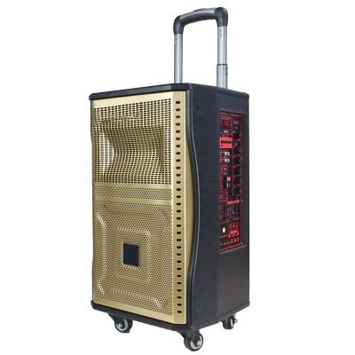 China No Big Power Cart Speaker for Cambodia/Vietnam Southeast Asia Market for sale