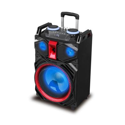 China Portable AirPlay Party Speaker 1000 Watt DJ Party Floor Speaker For Karaoke for sale