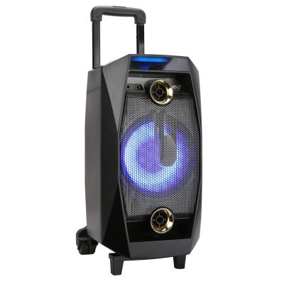 China AirPlay Wireless Active PA Trolley Portable Rechargeable Multi Function Party Speaker With Microphone for sale