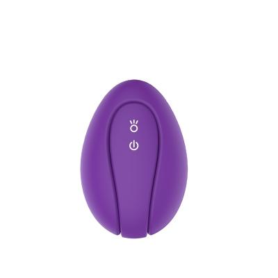 China Mini 12 Speed ​​ABS Silicone G-spot Vibrator Wearable Remote Vibrating Love Egg Wireless Love Egg for sale