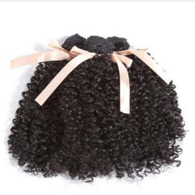 China Hot Sale Small Rose Net Chemical Fiber Wig Medium And Long Curly Wigs Kinky Curly African Natural Black Curly Ladies Wig for sale