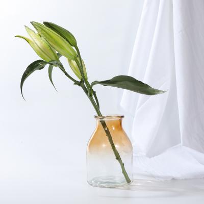 China Minimalist The Latest Technology Amber Glass Vase OEM Graphic Production Transparent Simple Home Decoration Vase for sale