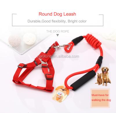 China Viable Custom Print Logo Dog Leash And Collar Nylon Rope Dog Leash for sale