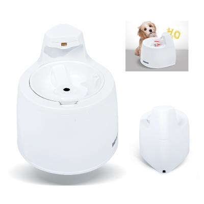 China New Arrival Automatic Pet Automatic Feeder Automatic Dog And Cat Feeder For Small Animals for sale