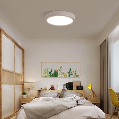 China Modern Ceiling Lights Home Decoration Cover Body Lamp Item Smd Outdoor Mounted Bright Led Acrylic Style for sale