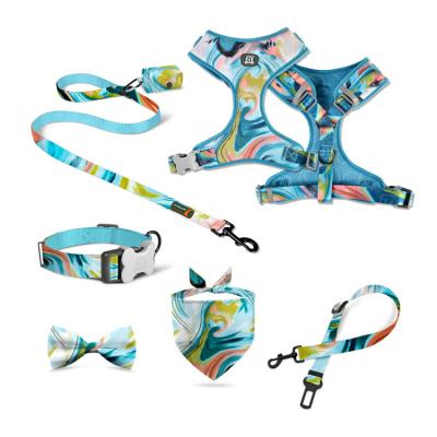 China Best Padded Pet Collars And Leashes Rabid Leather Dog Collar At One Shedding Retractable Dog Leash for sale