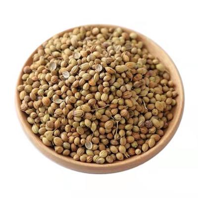 China Export Quality Dried Coriander Seeds for sale