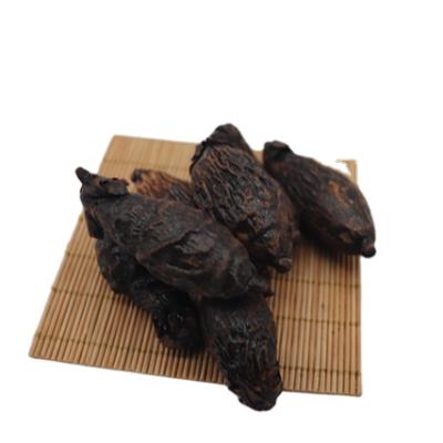 China Top Grade China Brand Wholesale Chinese Nuts Dry Natural Areca Nut for sale