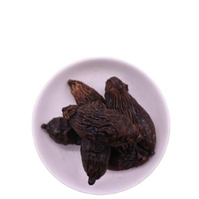 China New Fashion Dried Cozy Nuts Dried Price Betel Nut Crack In China for sale