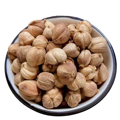 China Wholesale High Quality Dried White Cardamom Spice Cardamom for sale