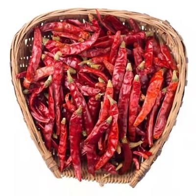 China China export high quality natural dry red pepper dry for sale