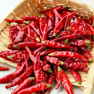 China High Quality Dried Duty Free Wholesale Low Price Dried Red Pepper Suppliers for sale