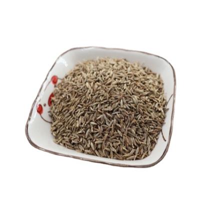 China Diverse good quality factory sale premium dried black seed black cumin for sale