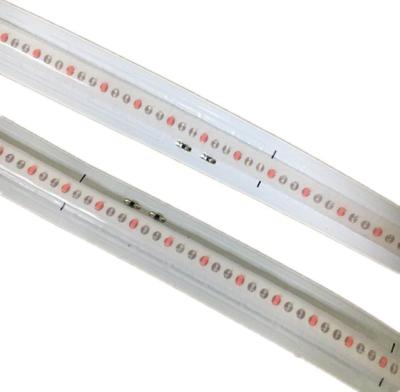 China AlGaInP 10mm width FPC dc12v cob led strip RGB for sale