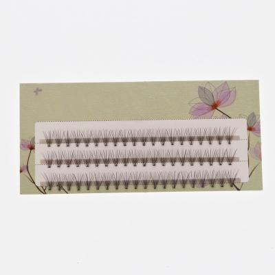 China Wholesale price 10D volume natural long person lashes OEM service 3D group eyelash extension for sale