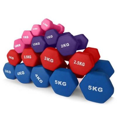 China Universal Home Indoor Power Training Equipment Multi Color 0.5kg 1kg 2kg 2kg 2.5kg 3kg Hex Dumbbells for sale