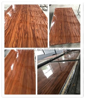 China POPLAR CORE POLYESTER SIDE GLOSSY PLYWOOD modern for sale