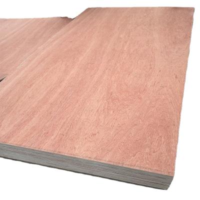 China Modern Custom Commercial Container Plywood 18mm Mahogany Sheet Professional Production for sale