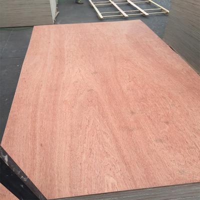 China Modern wholesale high quality low price commercial plywood for sale