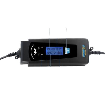 China High Quality Digital 6v/12v Battery Charger/Battery Defender/Automatic Battery Defender Car Battery Charger for sale