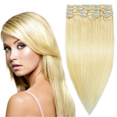 China Free Shipping Super Thick Silky Straight Wave Clip In Hair, Raw Virgin Color Hair Extensions, Brazilian Single Distributor Cuticle Aligned Hair for sale