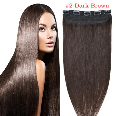 China Wholesale Straught Clipin Silky Straight Hair Extension Russian Europen Wave Clip In Hair Extensions for sale