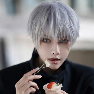 China Wholesale High Temperature Silky Straight Fiber Short Straight Cosplay Wig Halloween Wigs Halloween Wave Wigs Silver Hair For Man Women for sale