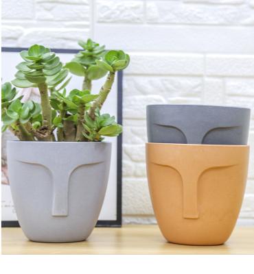 China Modern Wholesale Garden Face Planter Nordic Single Smile Succulent Flower Pot for sale