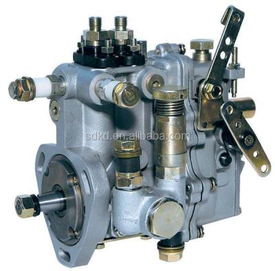 China BH2QT90R9 (2QT22) 2 cylinder fuel injection pump for Changchai 2110 BH4QT80R9 for sale