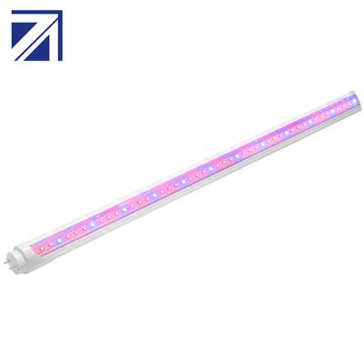 China Good Quality Vertical Agricultural Double Tube Full Spectrum T8 Starting Seed Led For Growing Light for sale