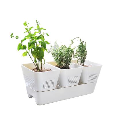 China Convenient Gartenkraft Self-absorbing ABS Self-absorbing Baking Watering Flower Pot For Kitchen Home Planting for sale